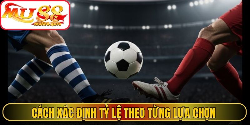 Cách xác định tỷ lệ theo từng lựa chọn 